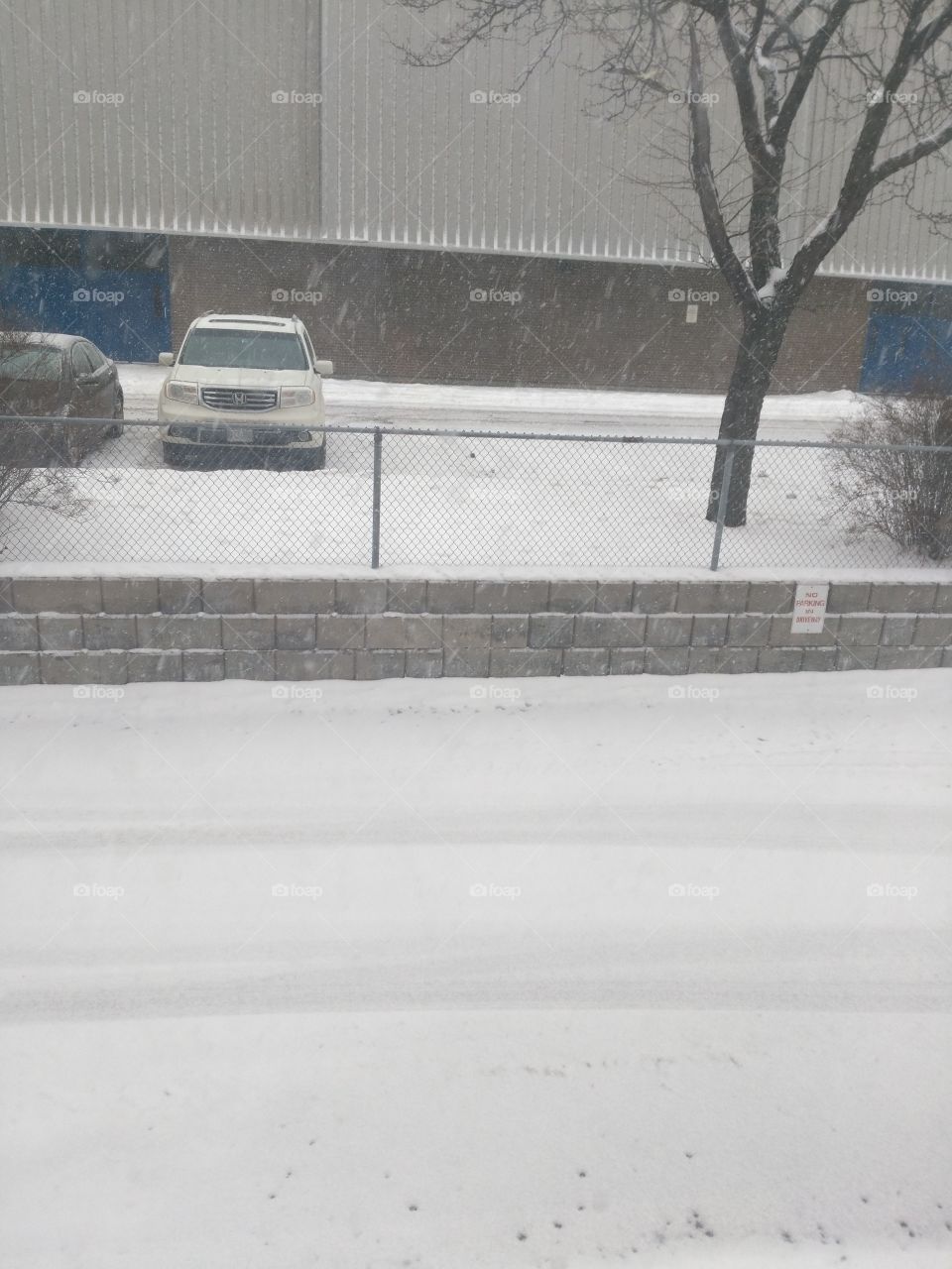 Friday snow storm again