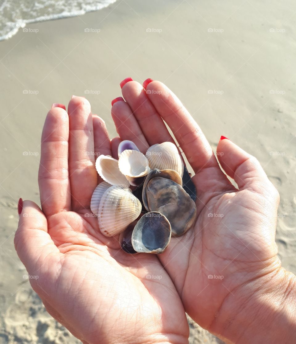 Shells at the hands