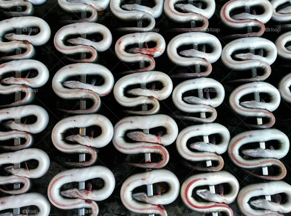 symmetry of eels skewered