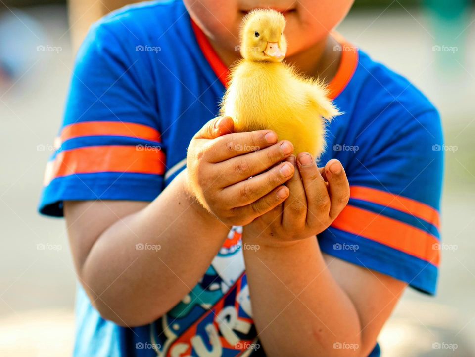 A baby is holding a baby (duckling).