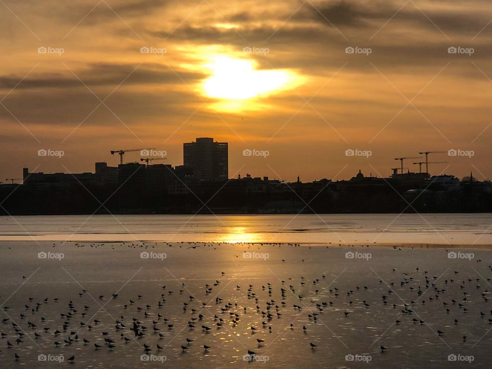 Sunset on a frozen lake with birds on it