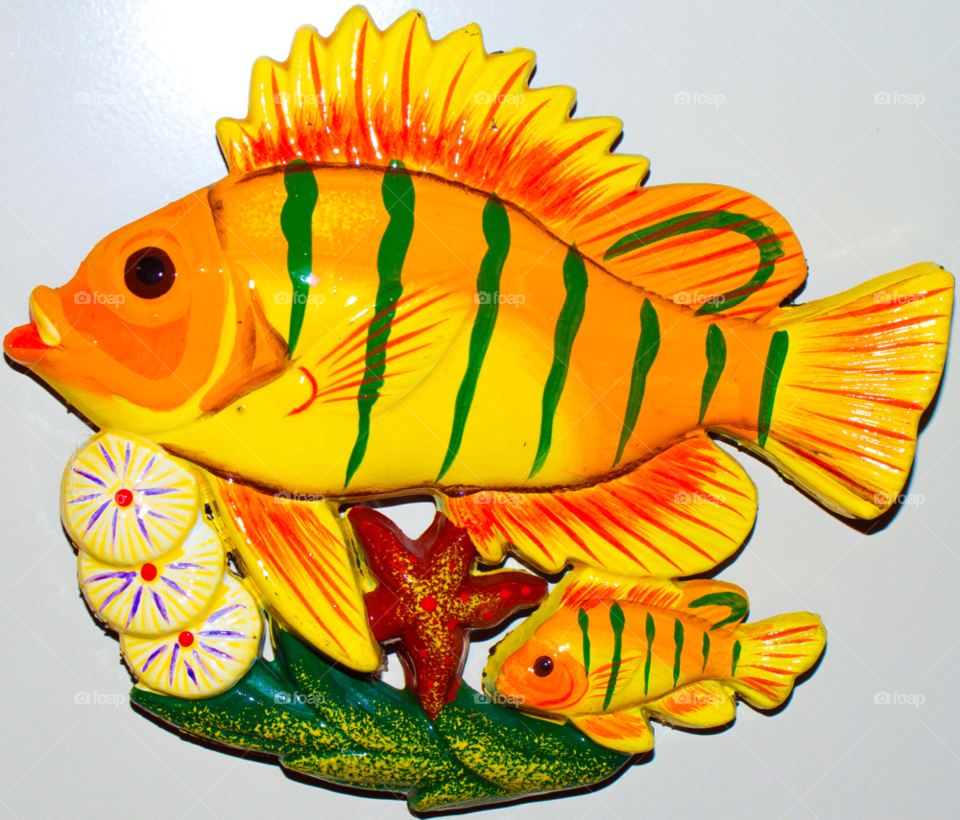 new windsor ny fish vacation colorful by delvec