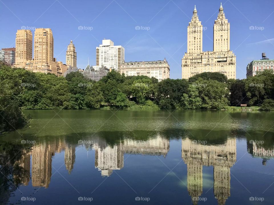 Central Park 