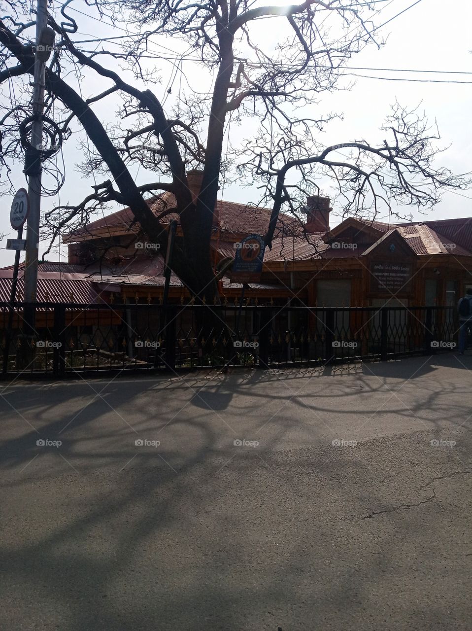 the lane of shadow memories.