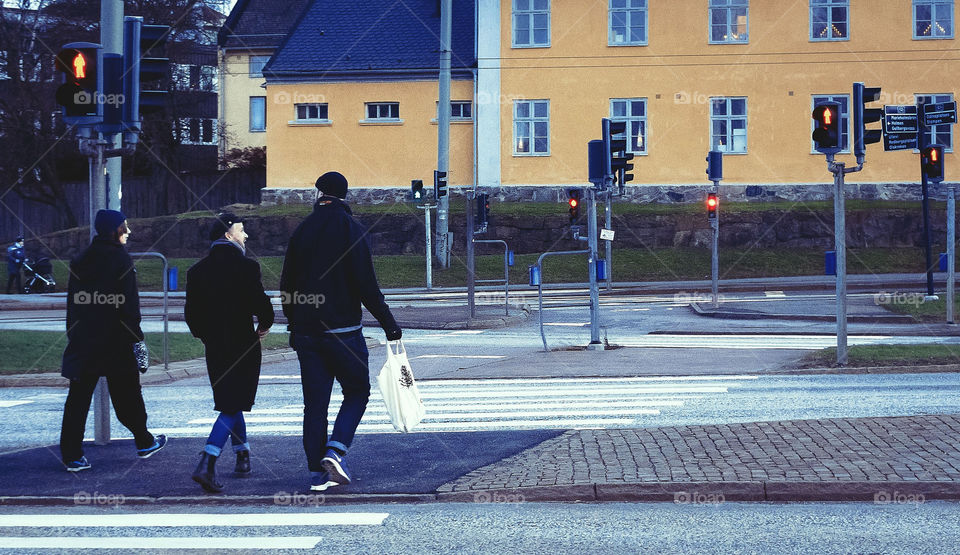 walk on the wild side. svingeln, göteborg