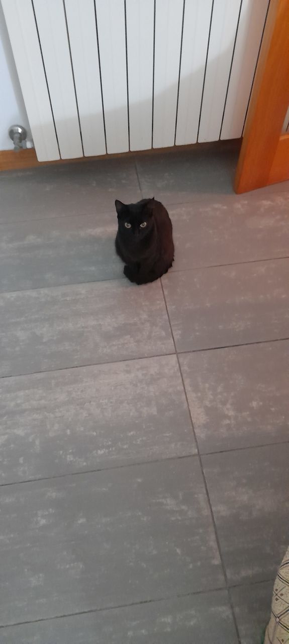 what are you looking at?
