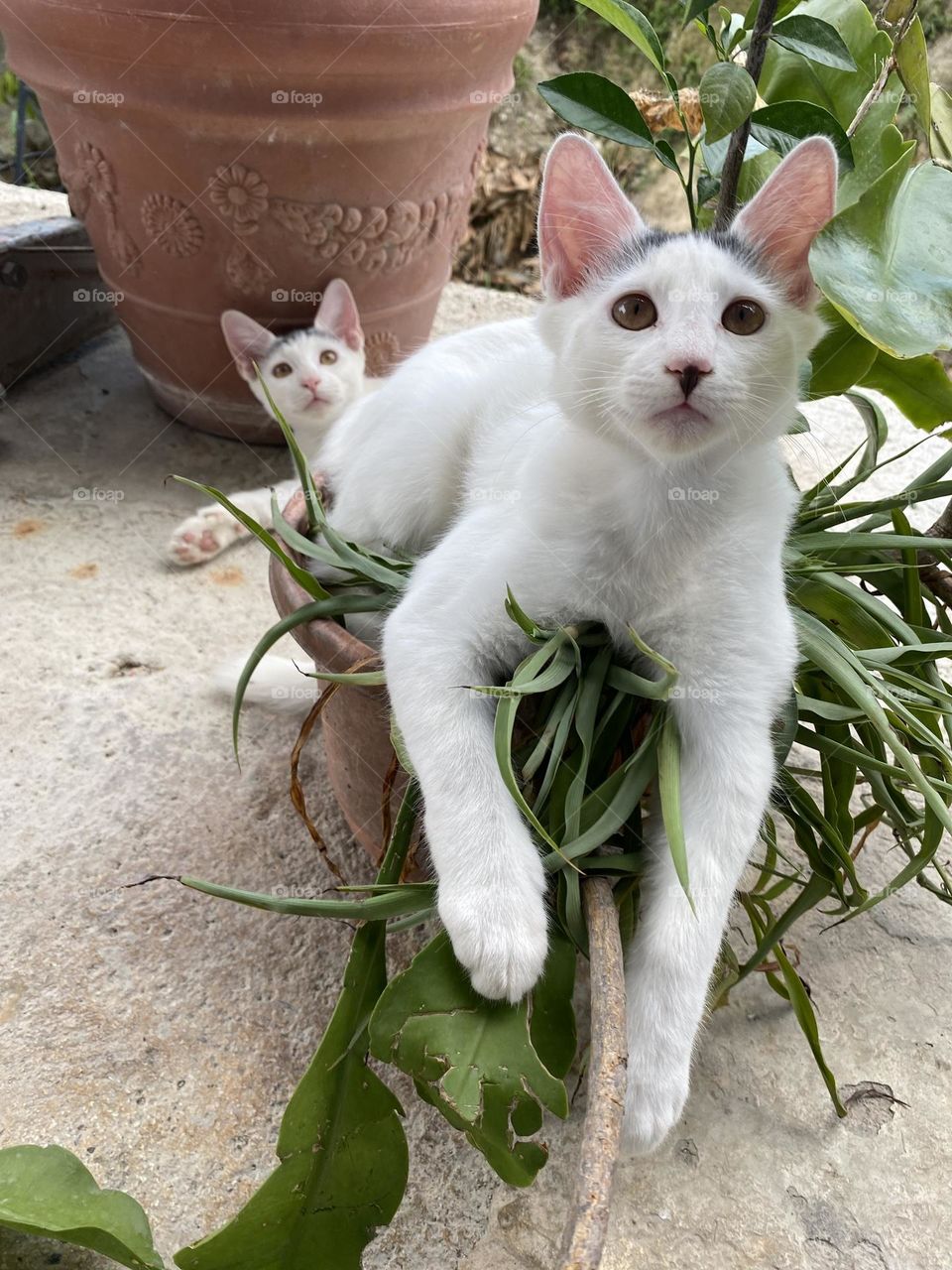 Taking pics with my plants ❤️