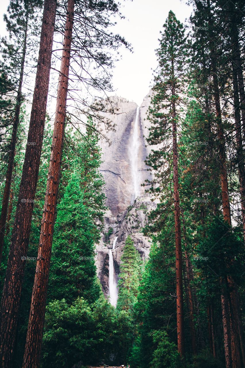 Yosemite falls earlier last year. 