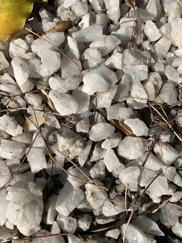Rocks