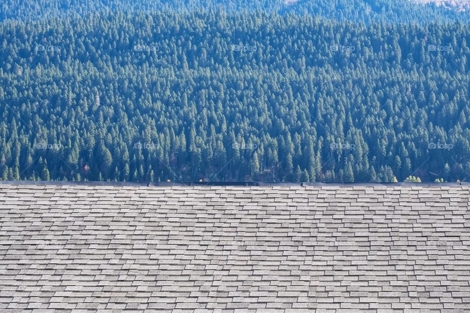 Texture of roof and pines forest in Georgia country side
