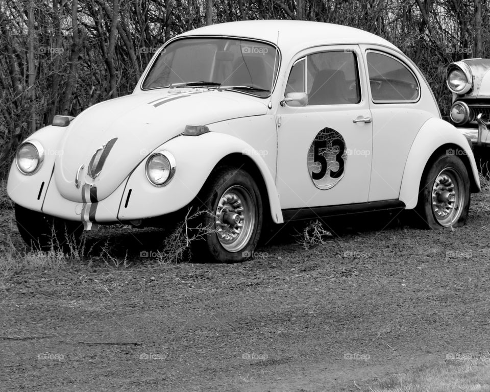 A Love Bug style Volkswagen Bug retired and rusting away in Prineville, Oregon. 