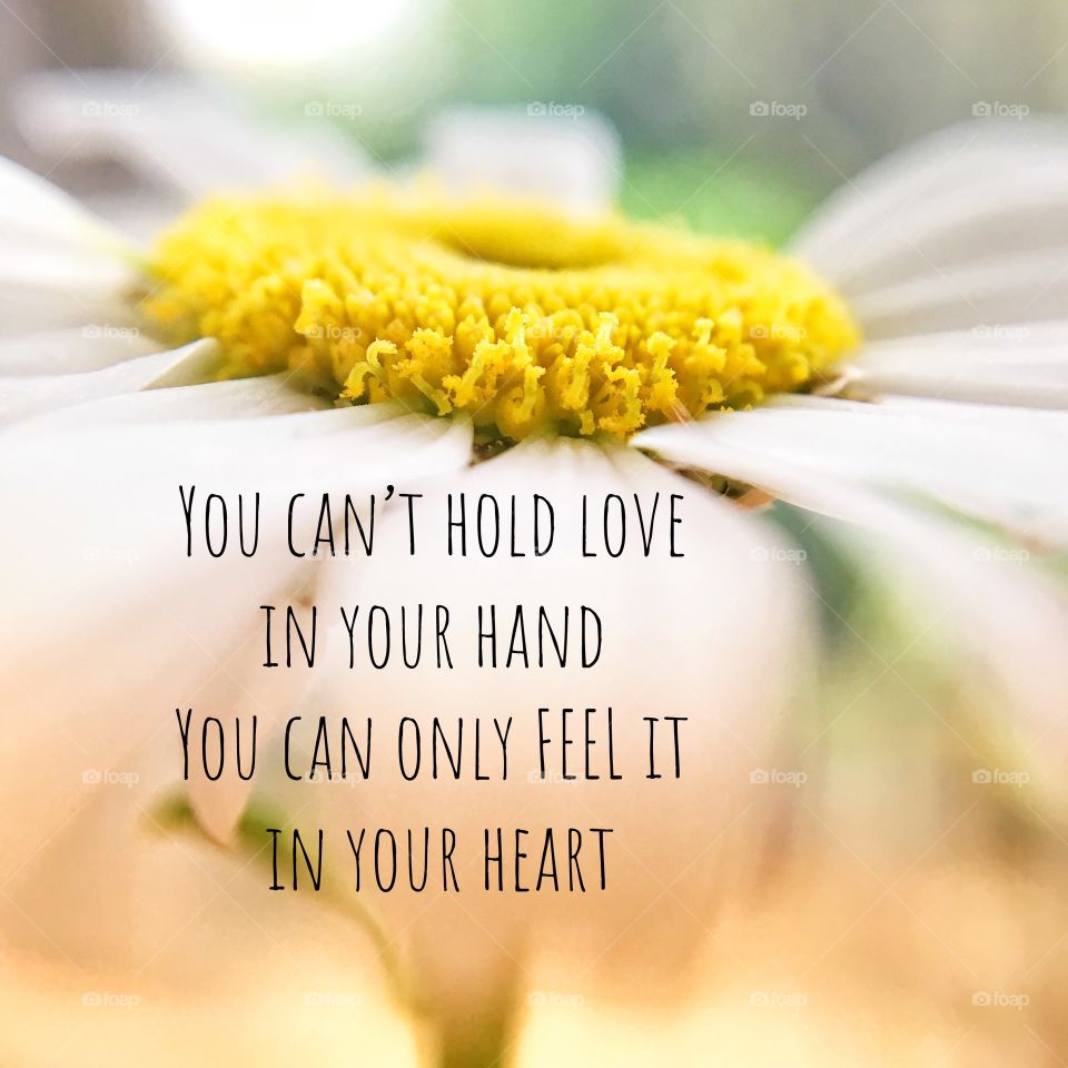You can’t hold love in your hand. You can only FEEL it in your heart .. extract words from The Secret by Rhonda Byrne 