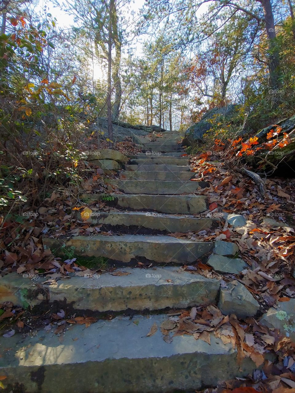 Stairs, Scenic View