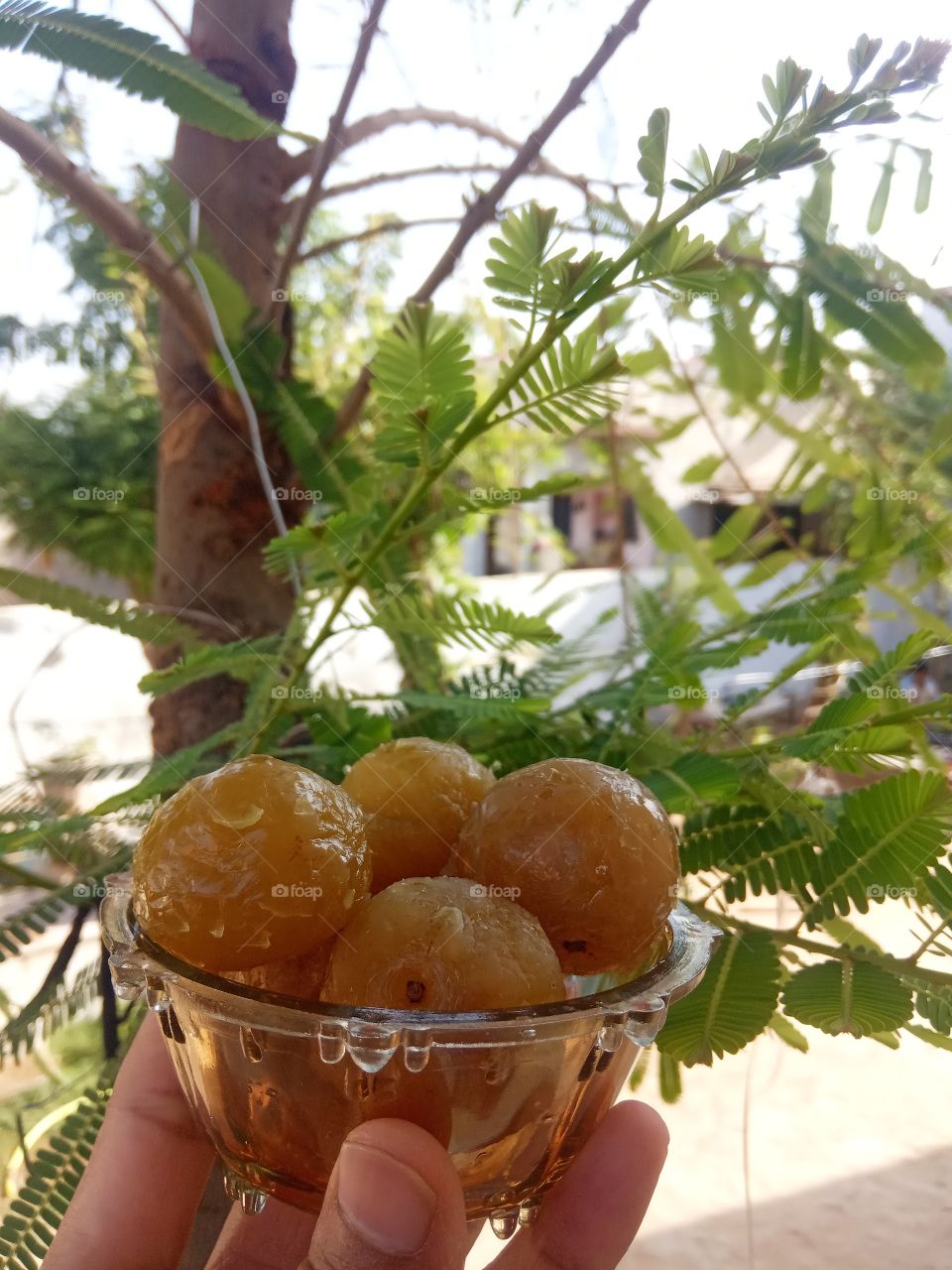 fruits name is amla murabba