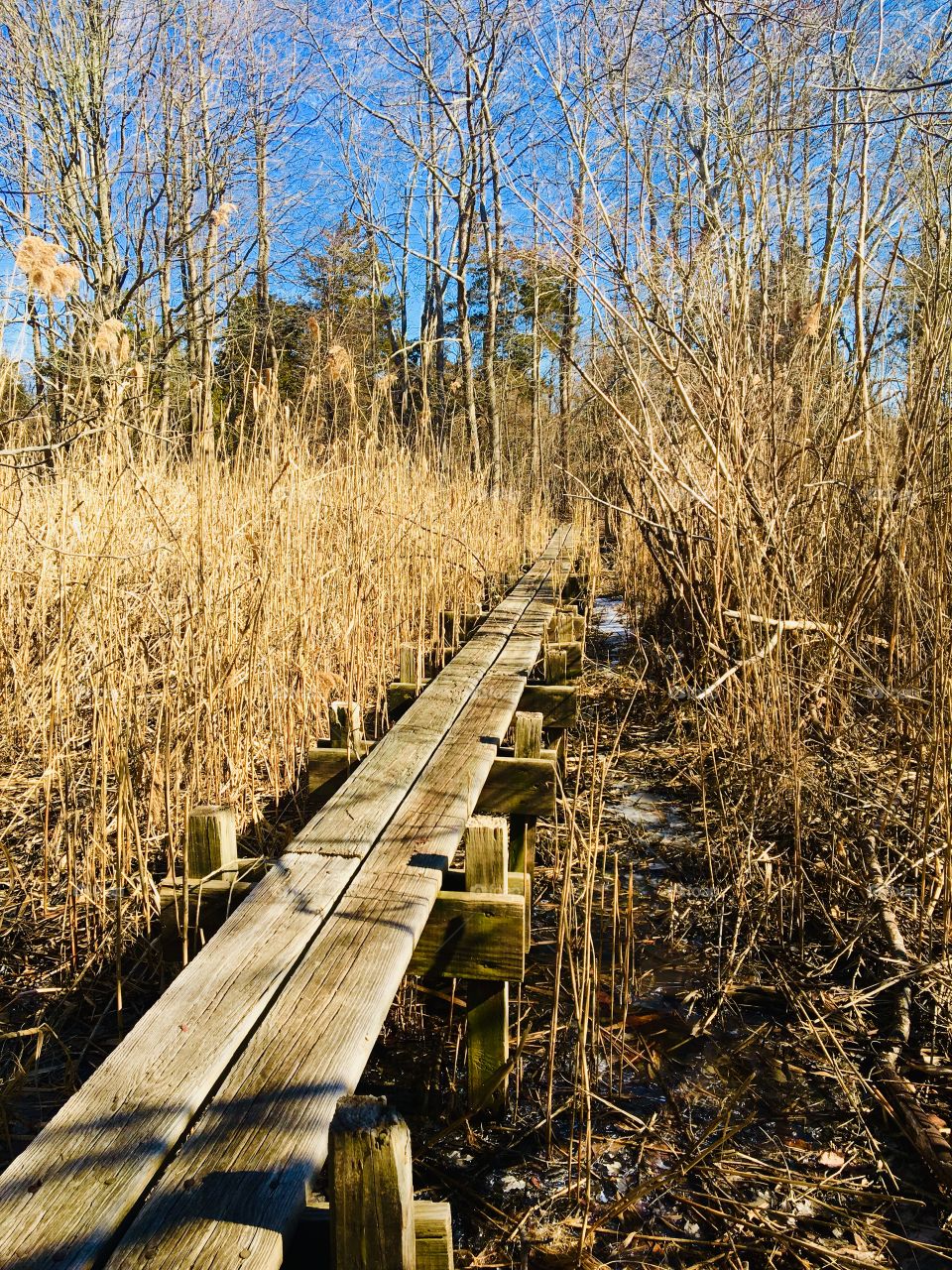 Bridge to nowhere 