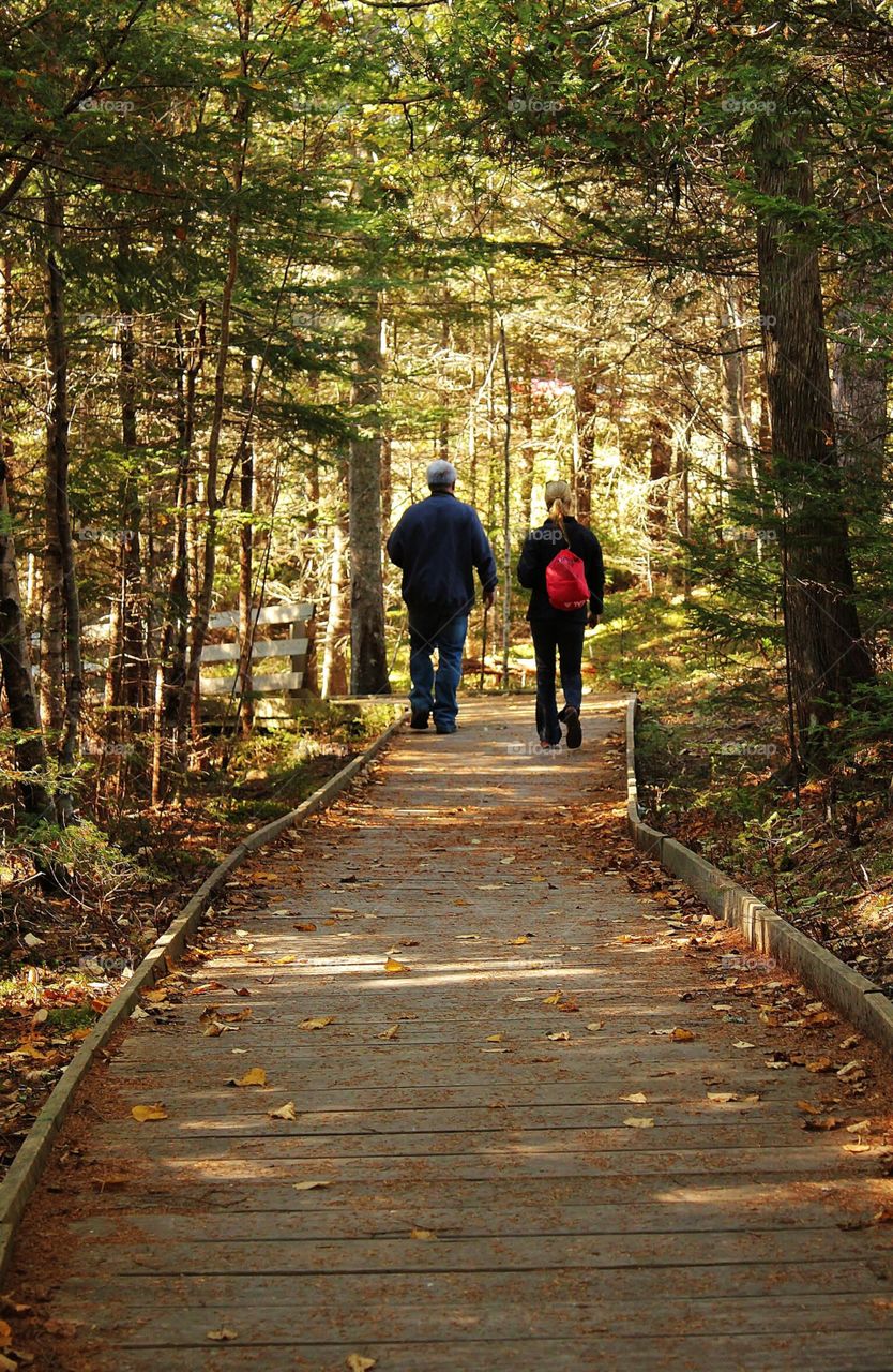 St. John's, New Brunswick, Canada - magical Forrest mission 
