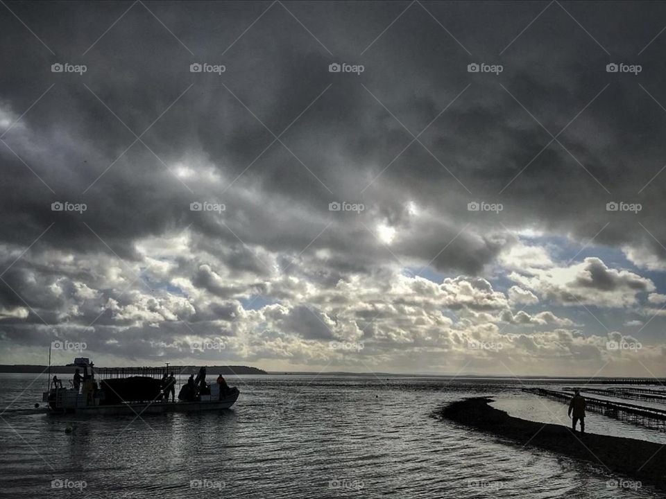 Estuário do Sado, Lisbon, Portugal.
