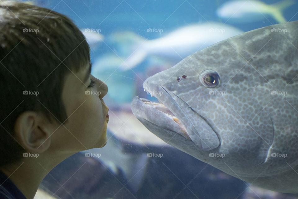 Boy face to face with a fish at an aquarium 