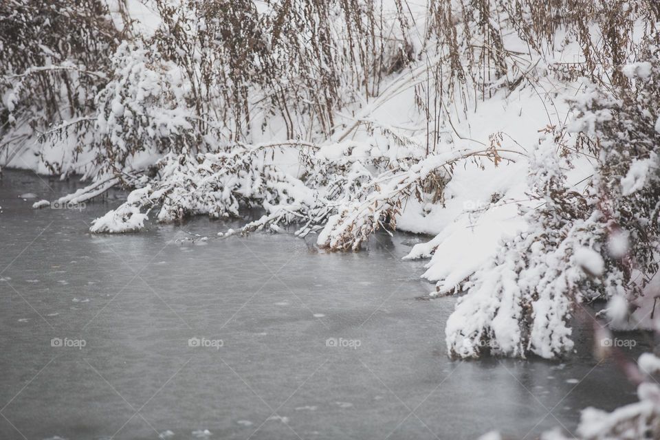 heavy snow on branches by water