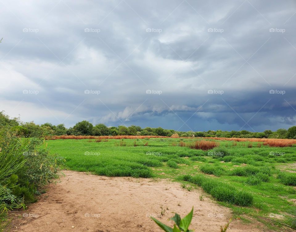 An Approaching Storm on Horizon