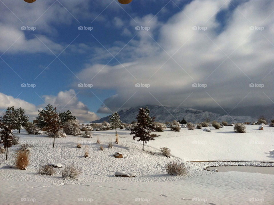 snow mountain tree cloud by prestridge
