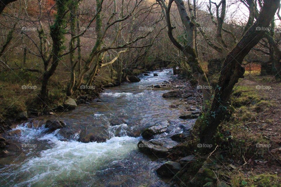 Heddon river