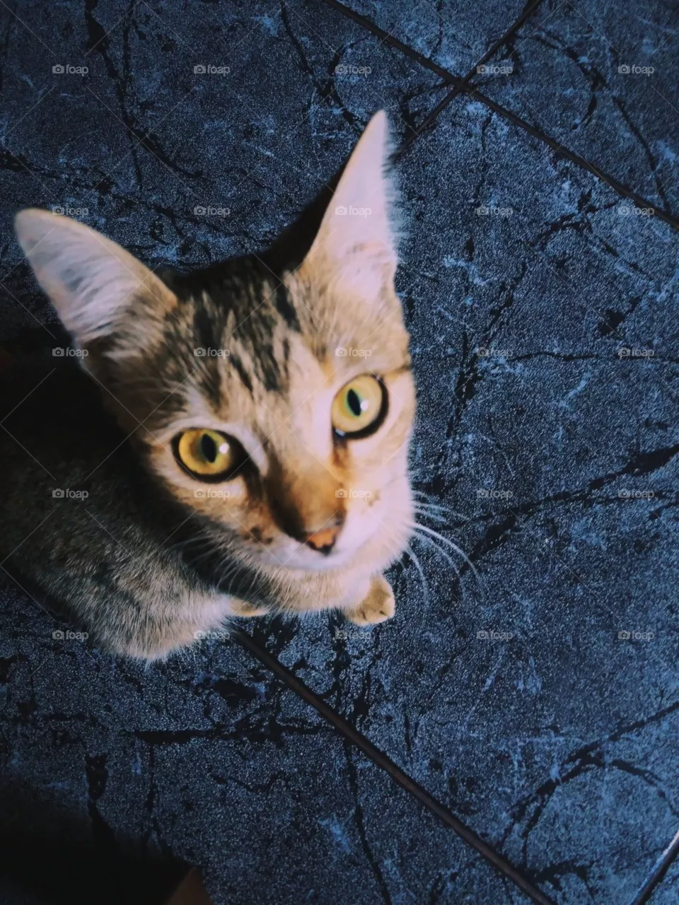 Kika