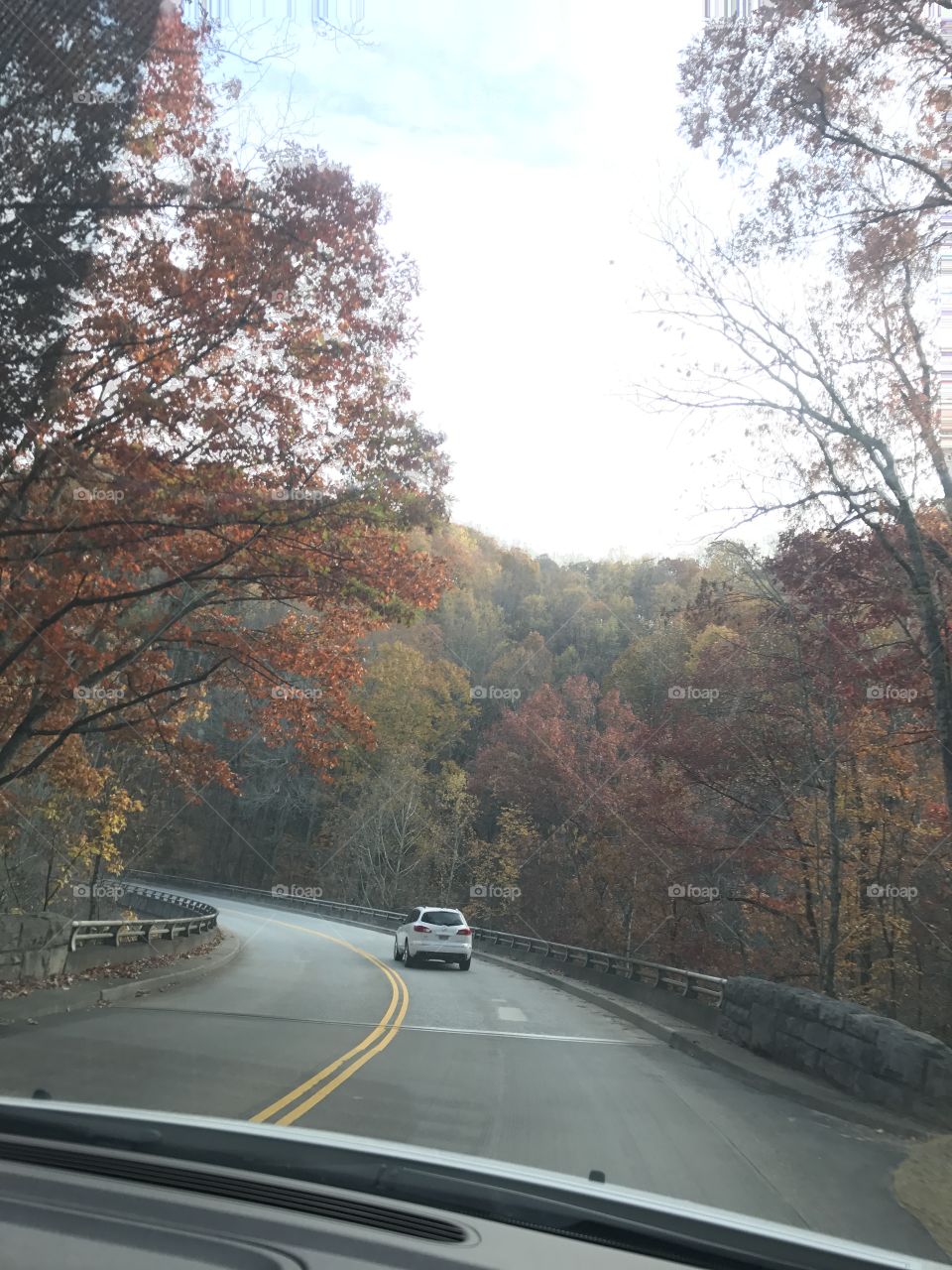 Driving up the Smoky Mountains in the fall!