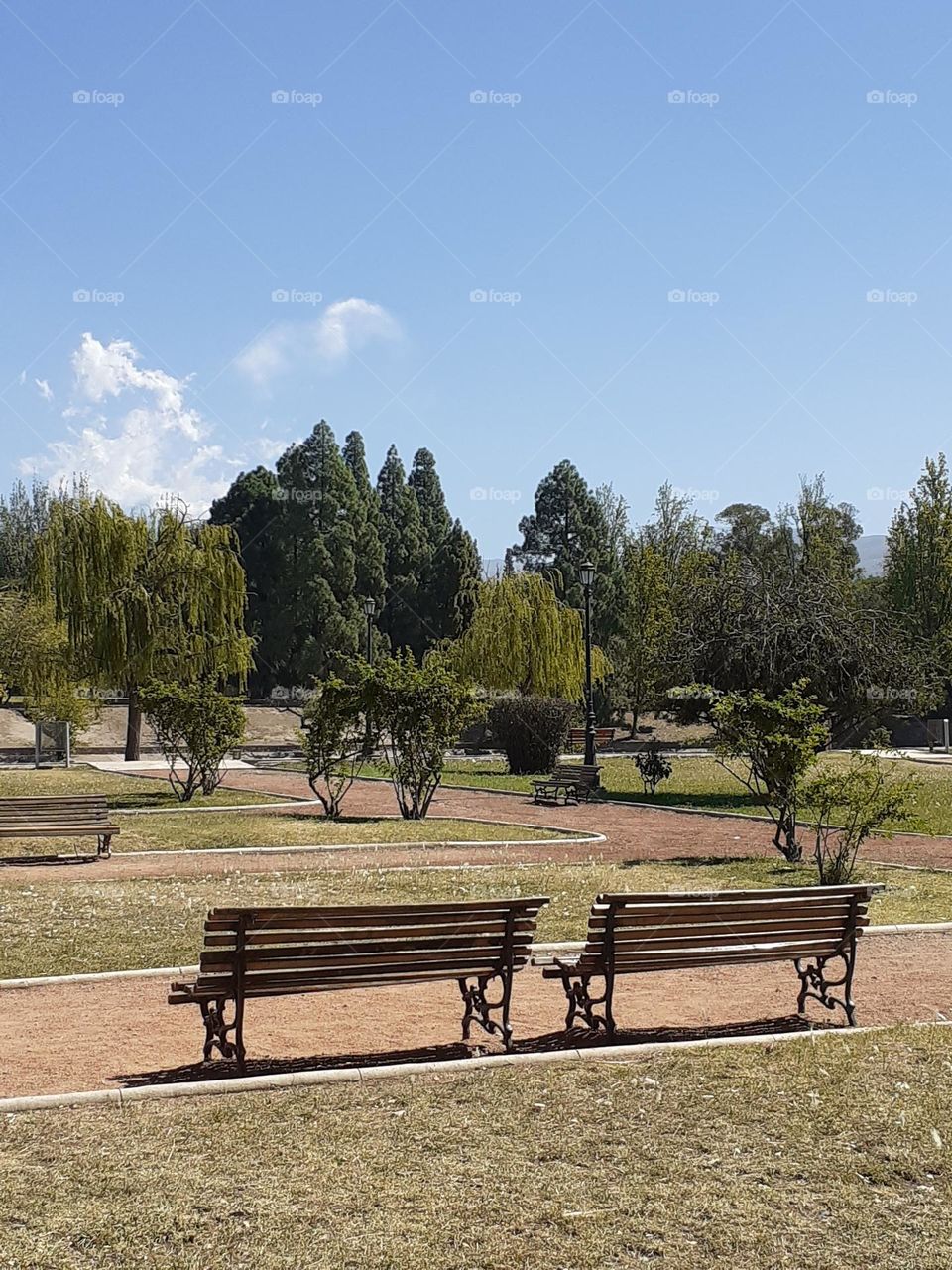 el parque para disfrutar un paseo