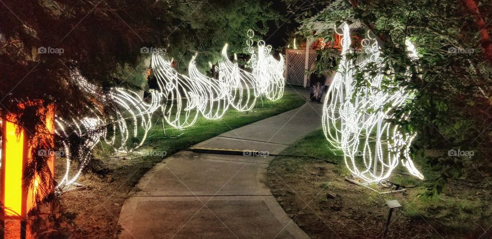 ILLUMINATION of Lights