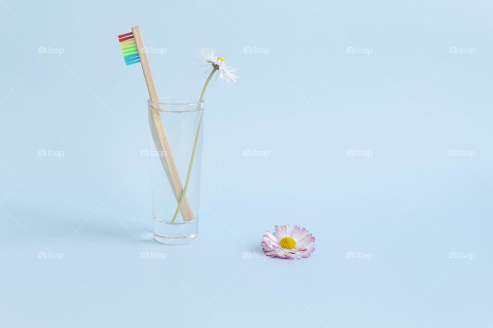 An ecological, wooden and reusable toothbrush with multi-colored bristles stands with a glass of water and a summer daisy, on a blue background.