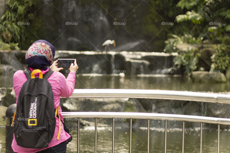 A Muslim Tourist with Hijab photographing in Birds Park, Kuala Lumpur, Malaysia