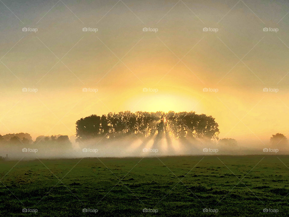 Filtered Countryside sunrise 