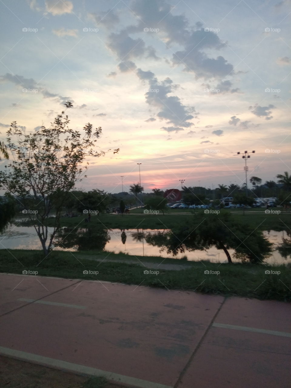 A Natureza e seus encantos