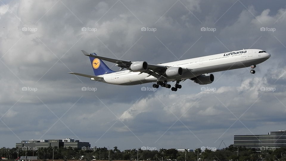 Lufthansa Airbus A340 Landing at Miami International Airport on Runway 9 