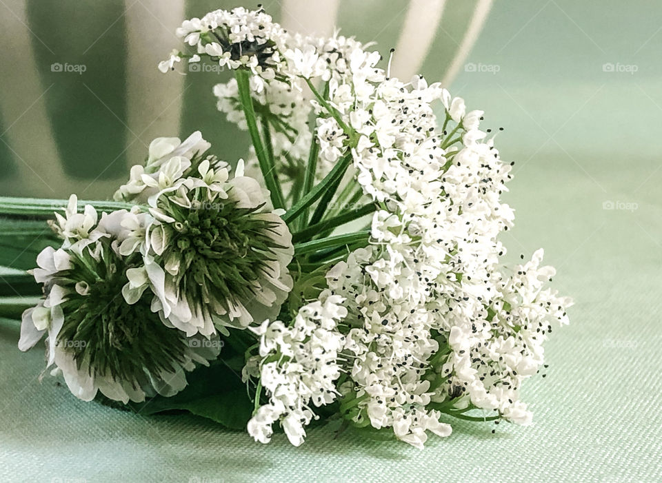 White, wild flowers against a pale green background with green and white vase