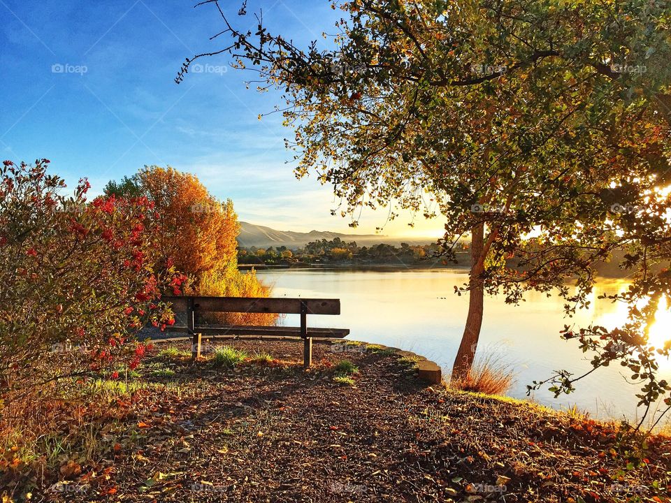 Scenic view of bench by lake