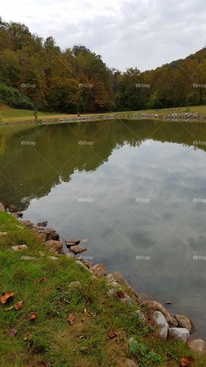 local community fishing pond