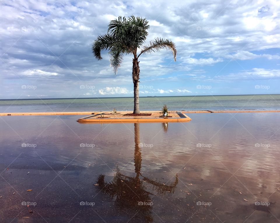 A newly created island after a sudden heavy rain flooded this Whyalla South Australia parking lot, making the lot almost look like an infinity pool! Loved the glassy reflection of the tree!