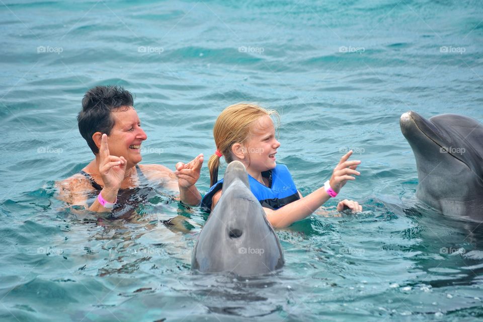 Swimming with dolphins