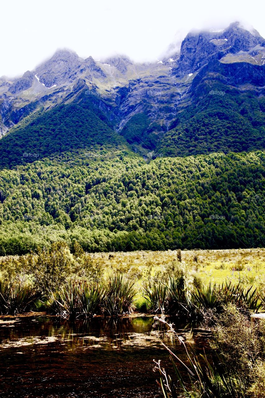 Winter in New Zealand 