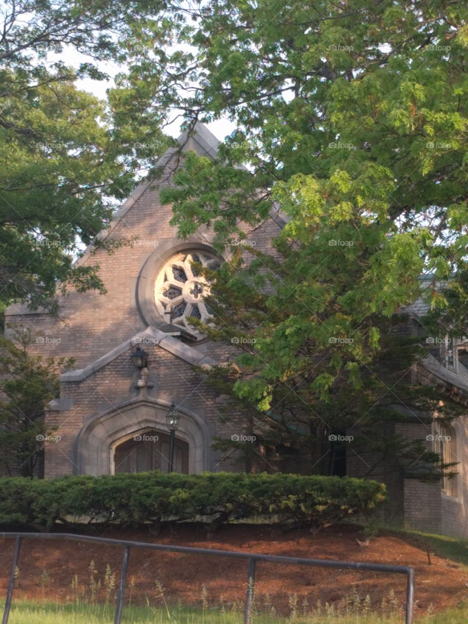 Architecture, Religion, Tree, Building, Church