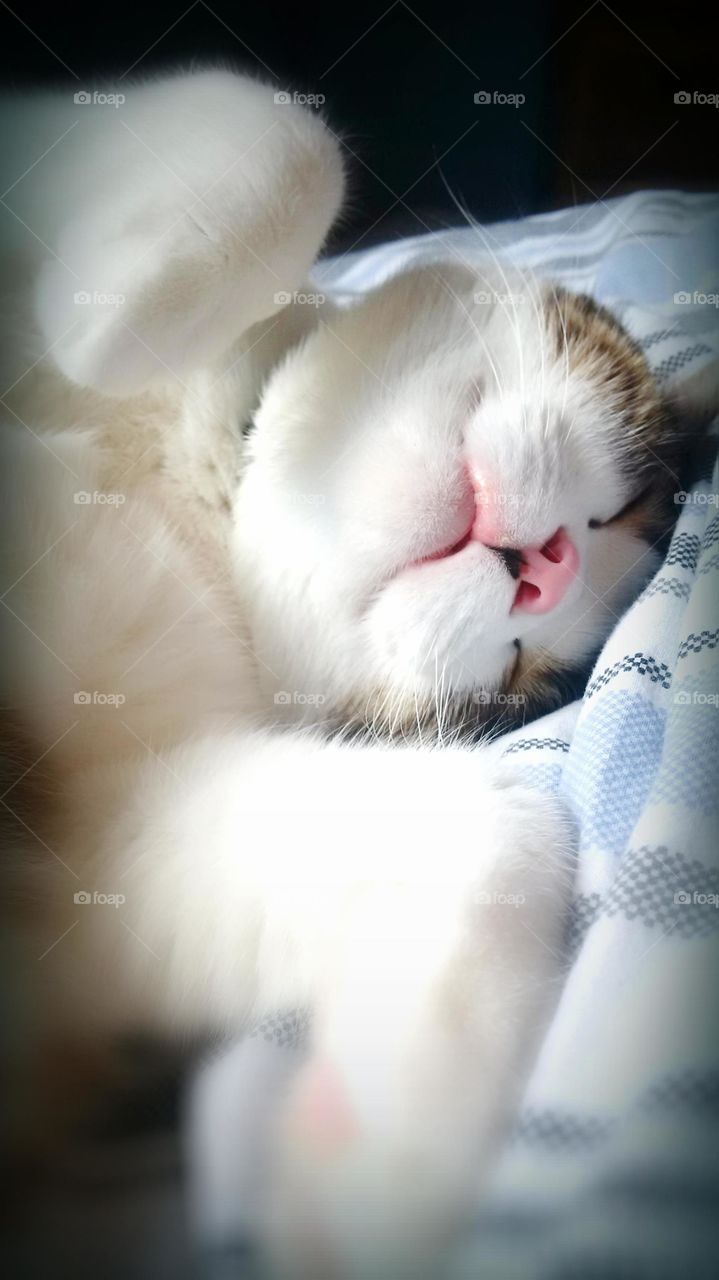 Sleeping in a weird position