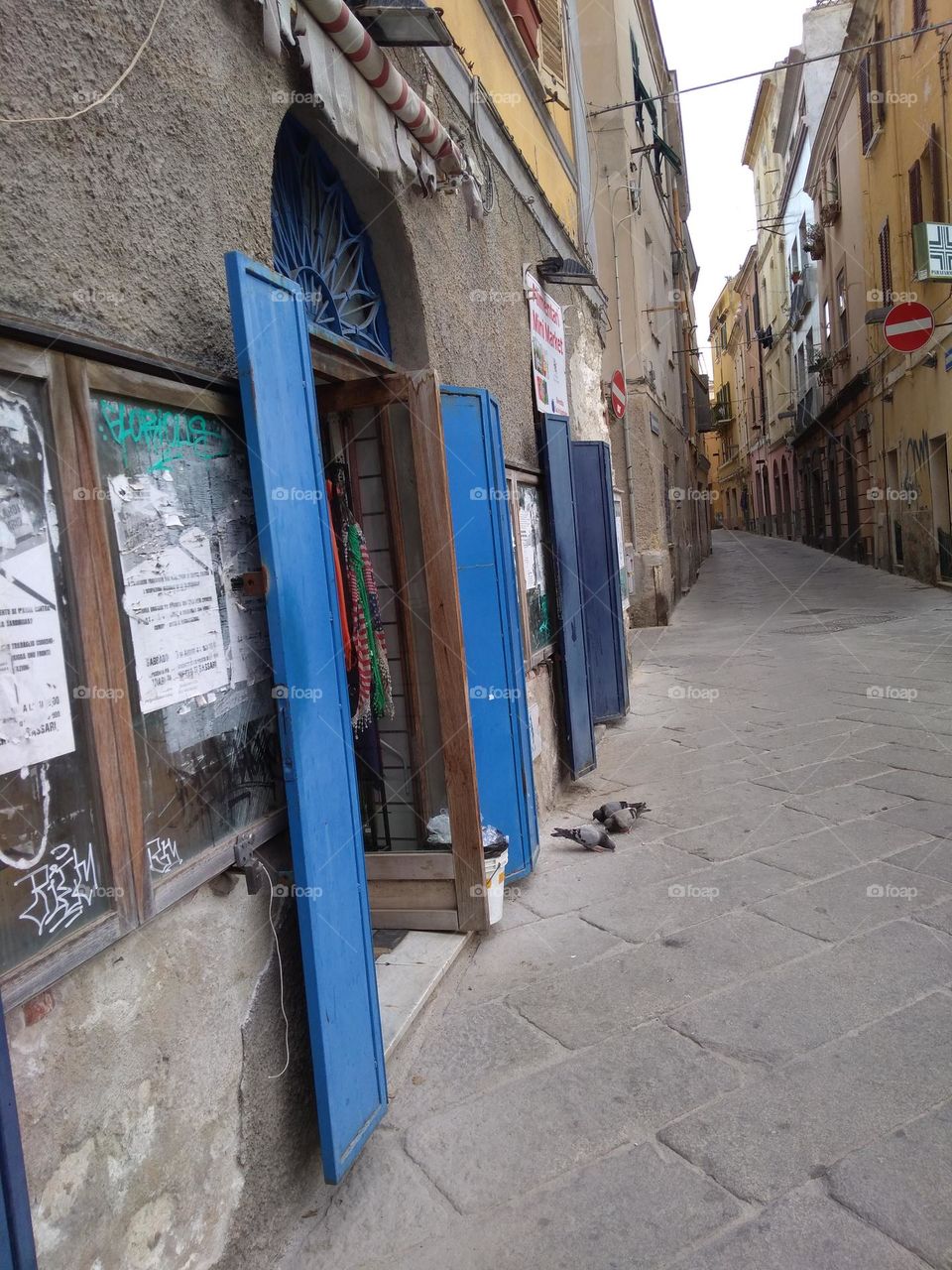 Editors' Choice: Photo of the Week