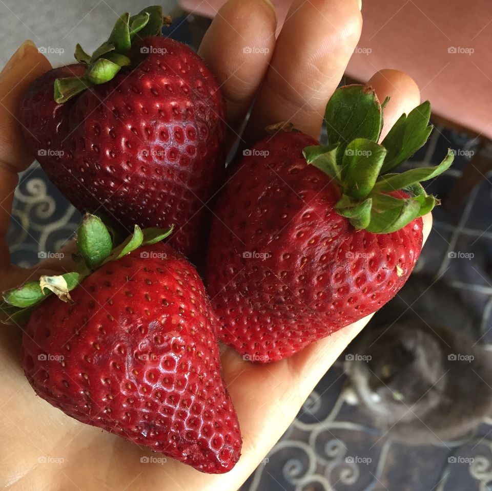 Strawberries for breakfast 