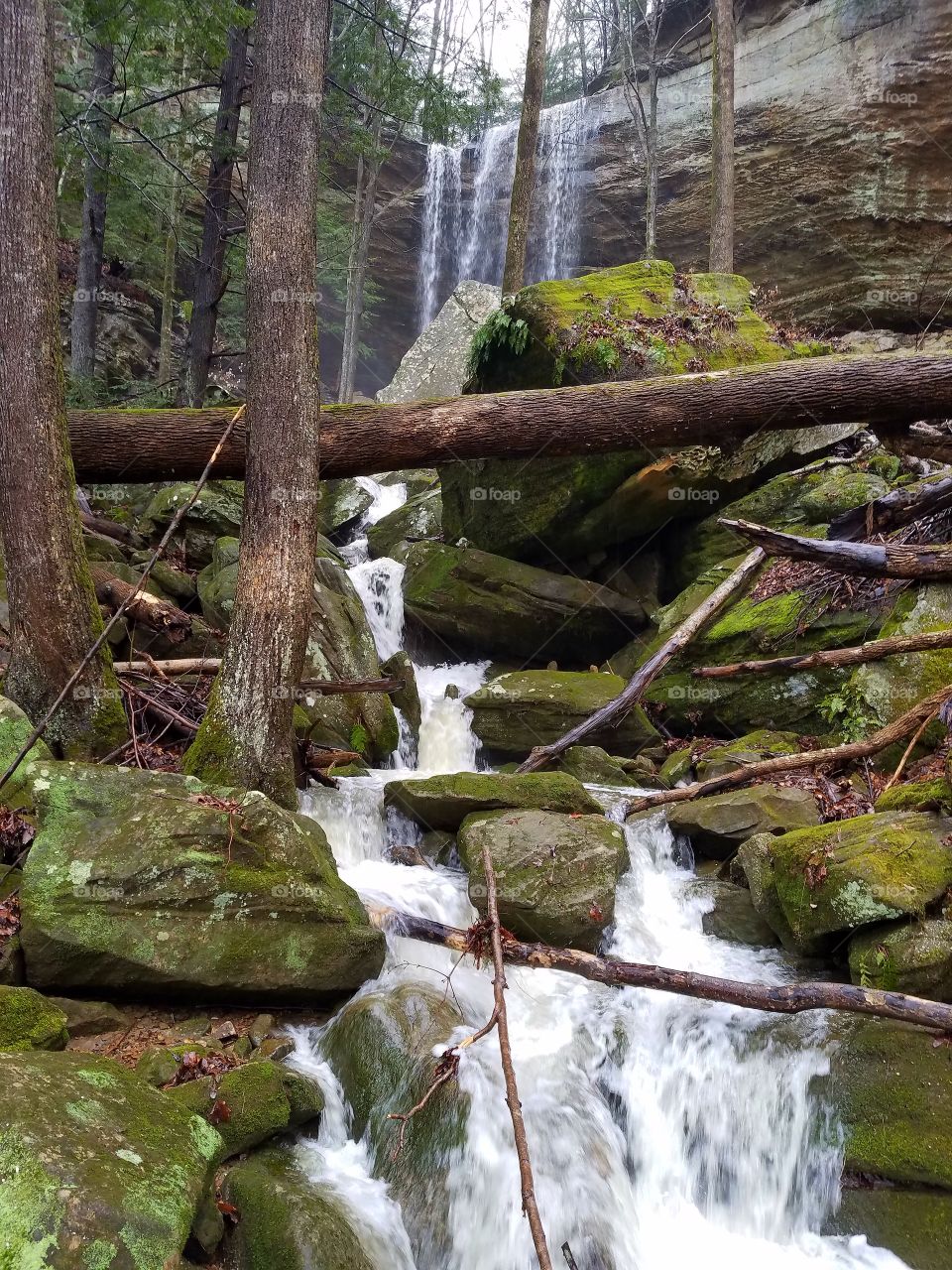 Anglin Waterfall