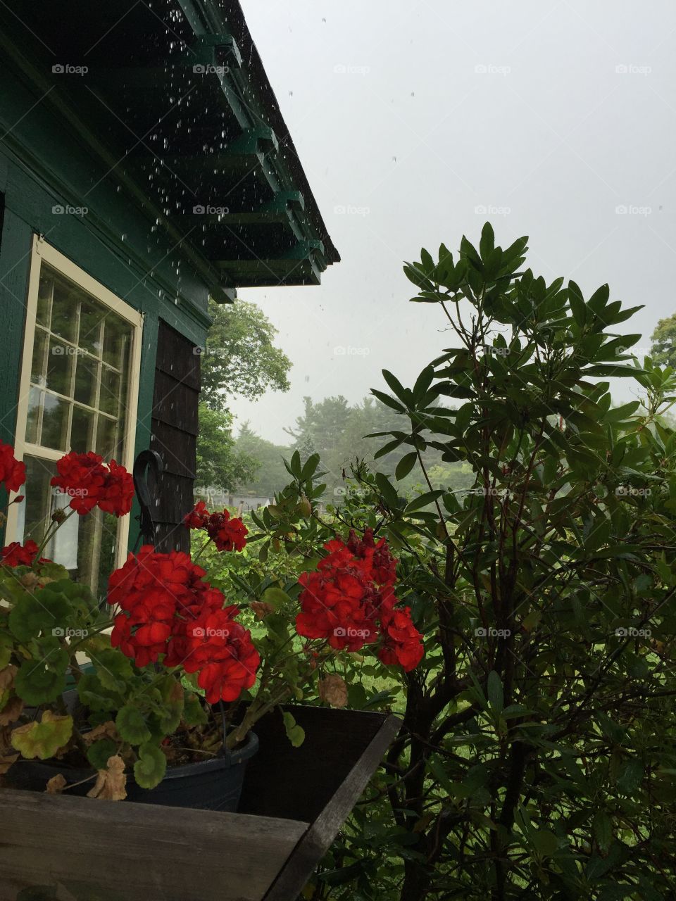 Window in the rain. Wine tasting in CT