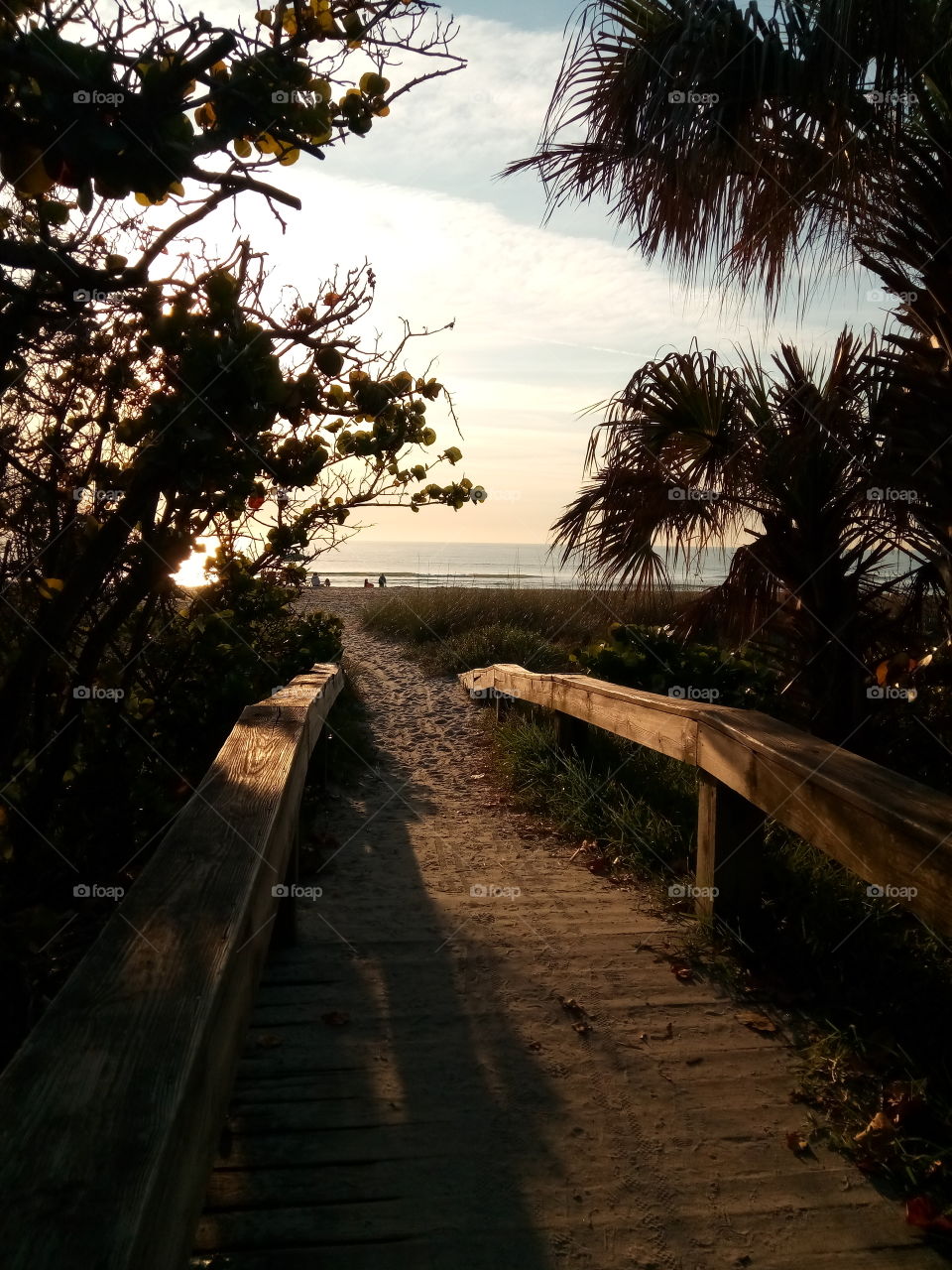 beach access Sunrise Cape Canaveral Florida