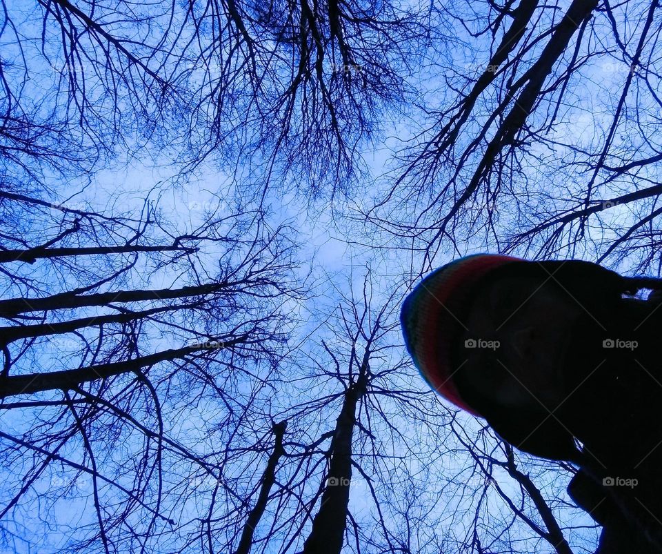 person and trees view from the ground