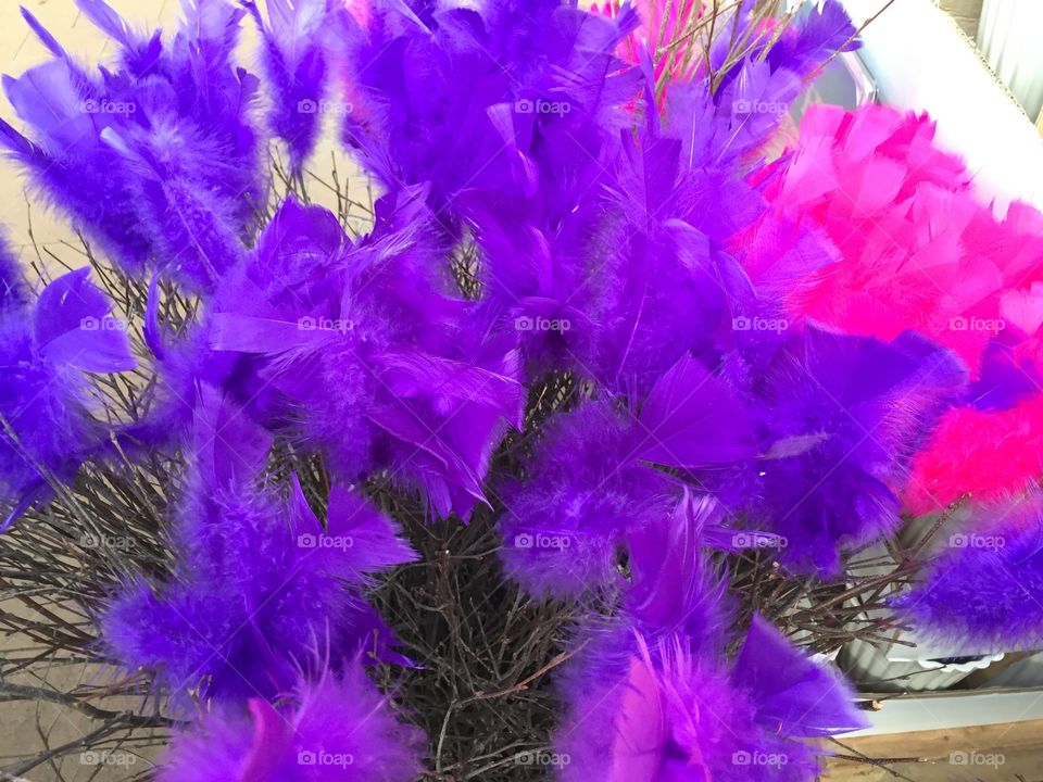 Pink and purple easter feathers displayed in a store.